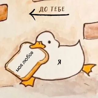 🦆