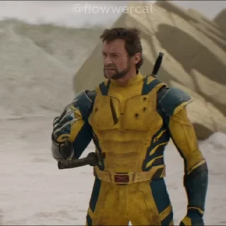 🧹