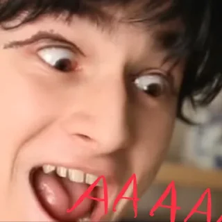 🙀