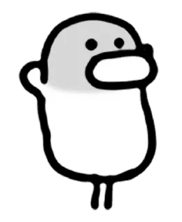 🐤