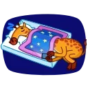 😴