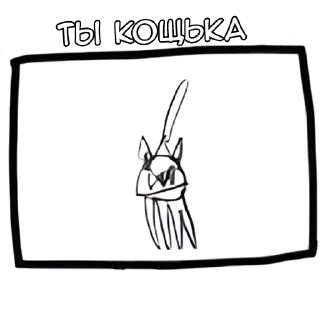 🐱
