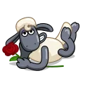 🌹