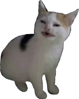 😩
