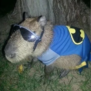 😎