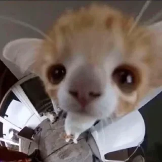 😀