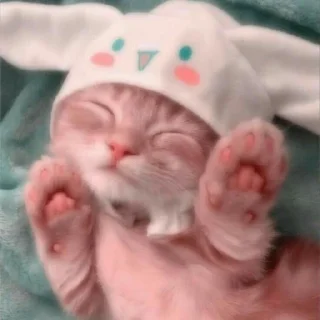 🌟