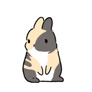 🐰