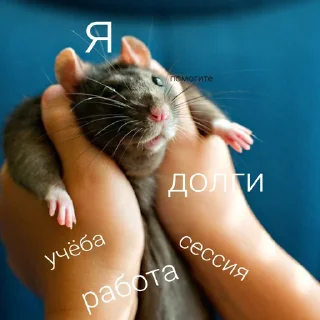 😵
