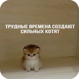👏