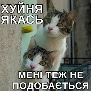 😒