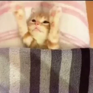 ❤