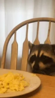 🍳