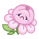 🌸