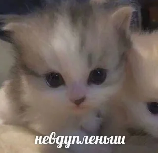 ☺️