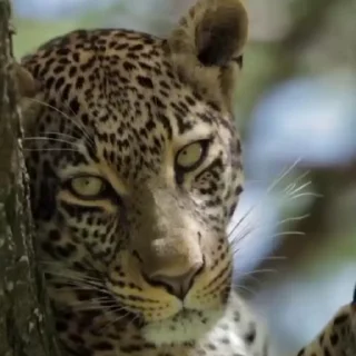 😐