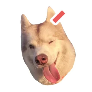 😜