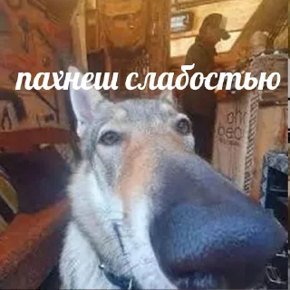 😂