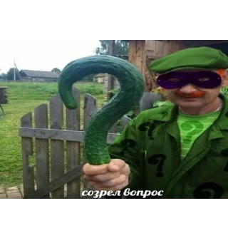 🥒