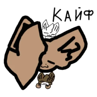 Куди