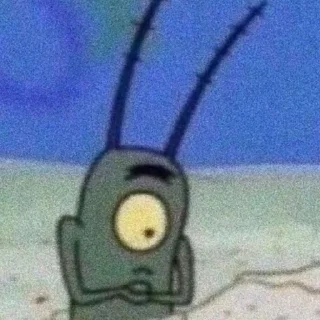 🧽