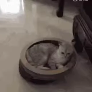 😵