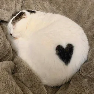 ❤️
