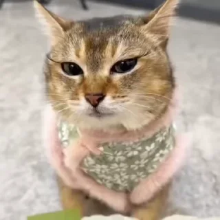 🧐