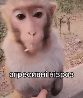 😡