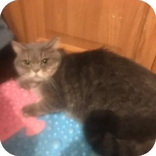 😀