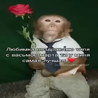 🐵