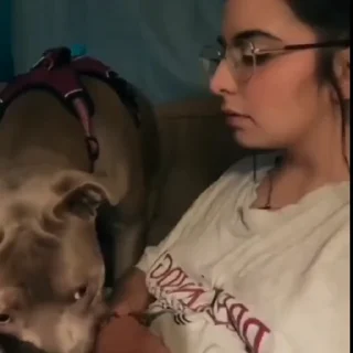 🐩
