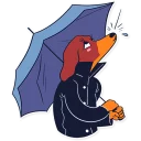 ☔