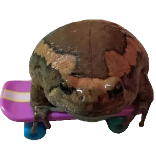 🐸