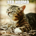 🙃