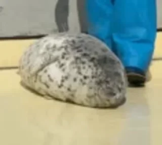 😮