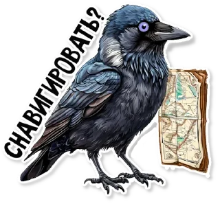 🗺