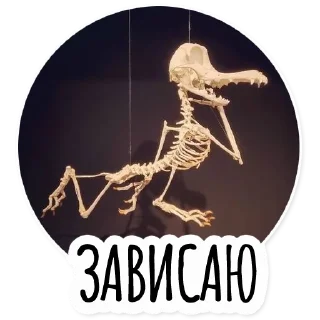 🤪