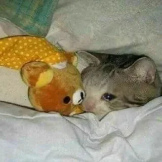 🥺