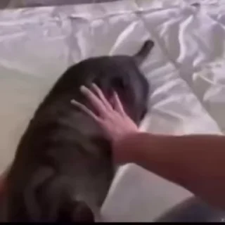 🥲