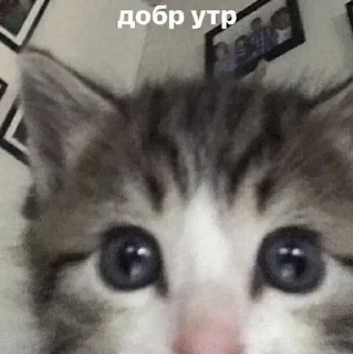 👍