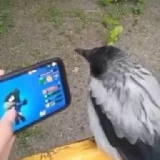 😎
