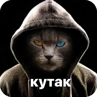 🫥