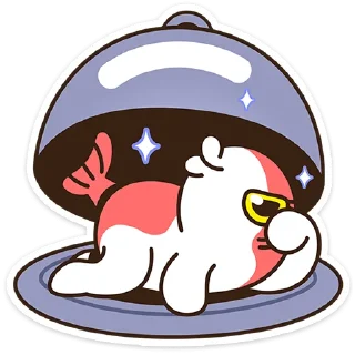 ⭐
