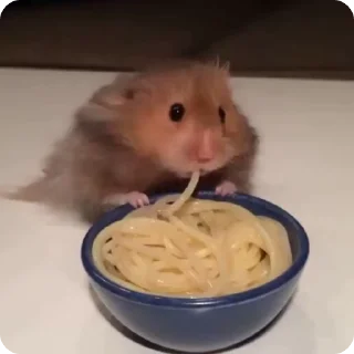 🌟