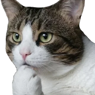 🧐