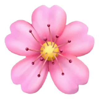 🌸