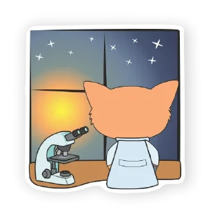 🌜