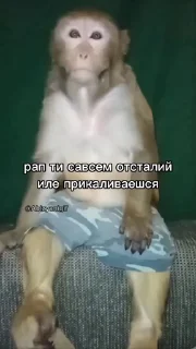 🤩