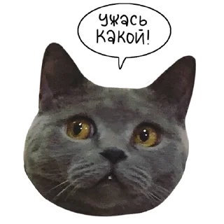 😱